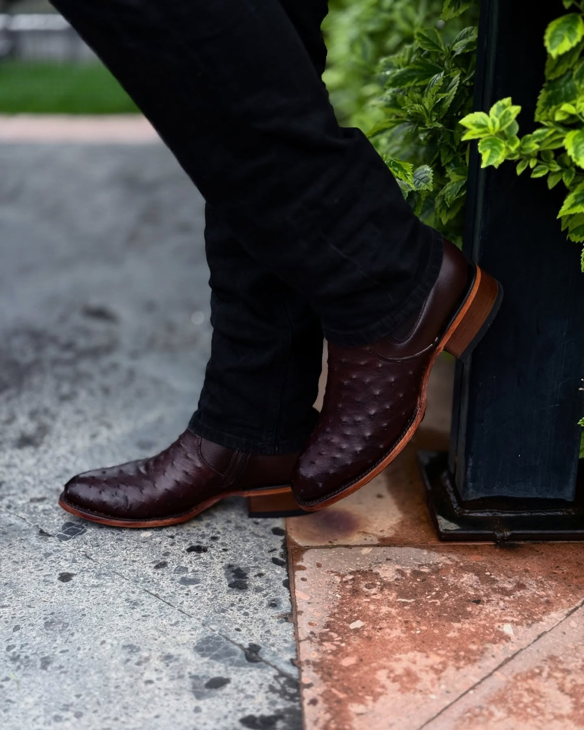 Ostrich Lucchese Cowboy Boots